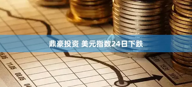 鼎豪投资 美元指数24日下跌