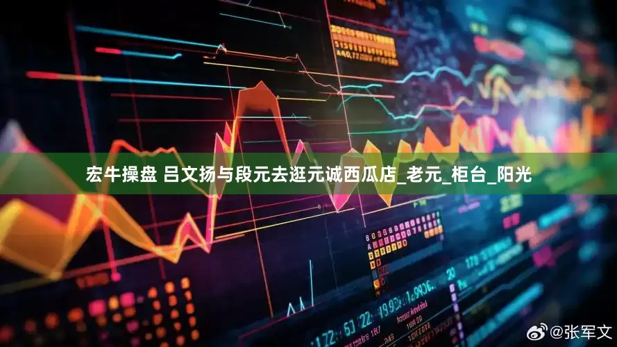 宏牛操盘 吕文扬与段元去逛元诚西瓜店_老元_柜台_阳光