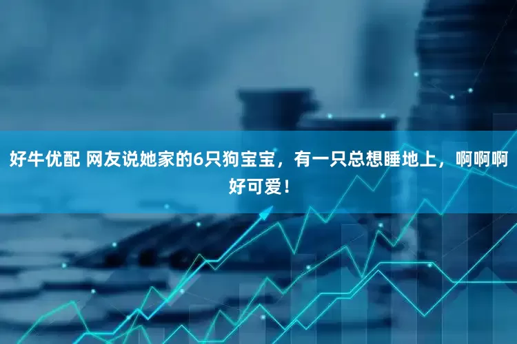 好牛优配 网友说她家的6只狗宝宝，有一只总想睡地上，啊啊啊好可爱！