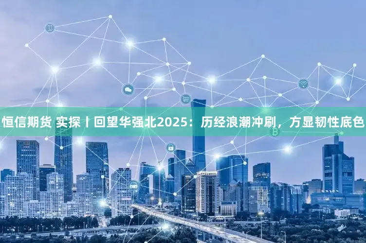 恒信期货 实探丨回望华强北2025：历经浪潮冲刷，方显韧性底色