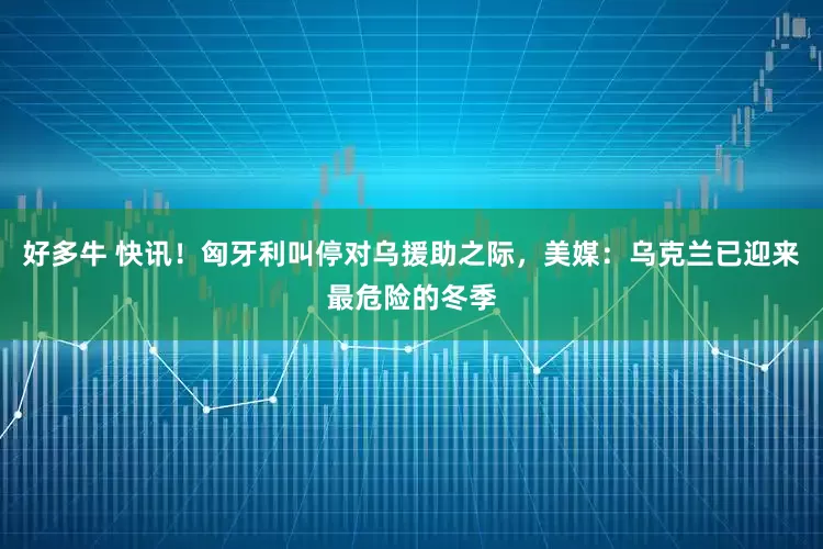 好多牛 快讯！匈牙利叫停对乌援助之际，美媒：乌克兰已迎来最危险的冬季
